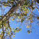 theadventureclub avatar