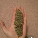 theadventuresofdexterd avatar