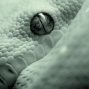 theaestheticarchive avatar