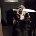 thealchemist-as avatar