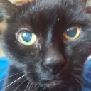 thealienpancake avatar