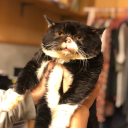 theamazingdalet avatar