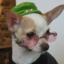 theamazingjulia7 avatar