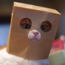 theanonymousfeline avatar