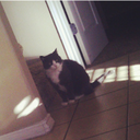 theansweristime avatar