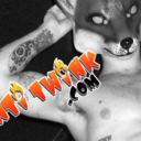 theantitwink avatar