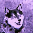 theanxiouspuppy avatar