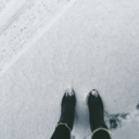 theappleofmylens avatar