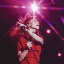 thearsenicgarden avatar