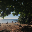 theartofeunoia avatar