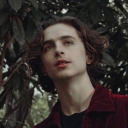 theartoffracturedhearts avatar