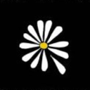 theartoftelevision avatar