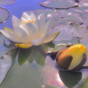 theartofthefeel avatar