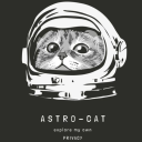 theastronautkiddo avatar