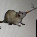 theatermademegay avatar