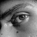 theatricalbook avatar