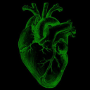 theatricalfreak avatar