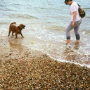 theatrocityofsunsets avatar