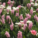 theawkwardnessandrandom avatar