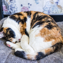 theawkwardthing-blog1 avatar