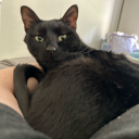 thebadassromanoff avatar