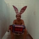 theballadofbunny avatar