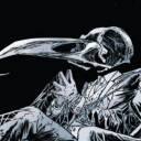 theballsofkhonshu avatar