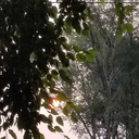 theban-moonbow avatar