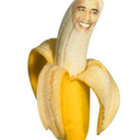 thebananawrangler avatar