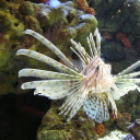 thebandcalledsparklefarts avatar