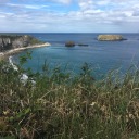 thebanisheddreamer avatar