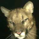 thebarbieghost avatar