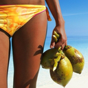 thebatikcompany avatar