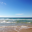 thebeachkids-blog avatar