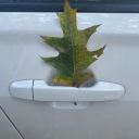 thebeatles211 avatar