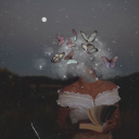 thebeautifuldreamer avatar