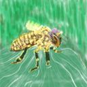 thebee-sarecoming avatar