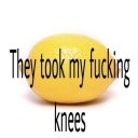 thebeesatemyknees avatar