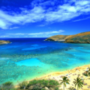 thebestbeaches avatar