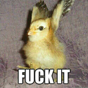 thebestdamnbitch avatar