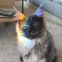 thebestgremlin avatar