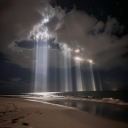 thebestkraken avatar