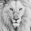 thebestnightmare avatar