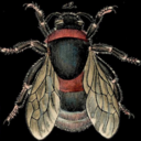 thebeword avatar