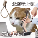 thebigdumbidiot avatar