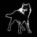 thebiggestboss avatar