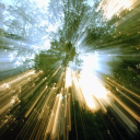 thebiggestfan1 avatar