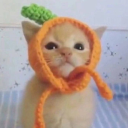 thebiggestmenace avatar