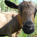 thebigsleepnoir-blog avatar