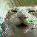 thebirdandthebae avatar